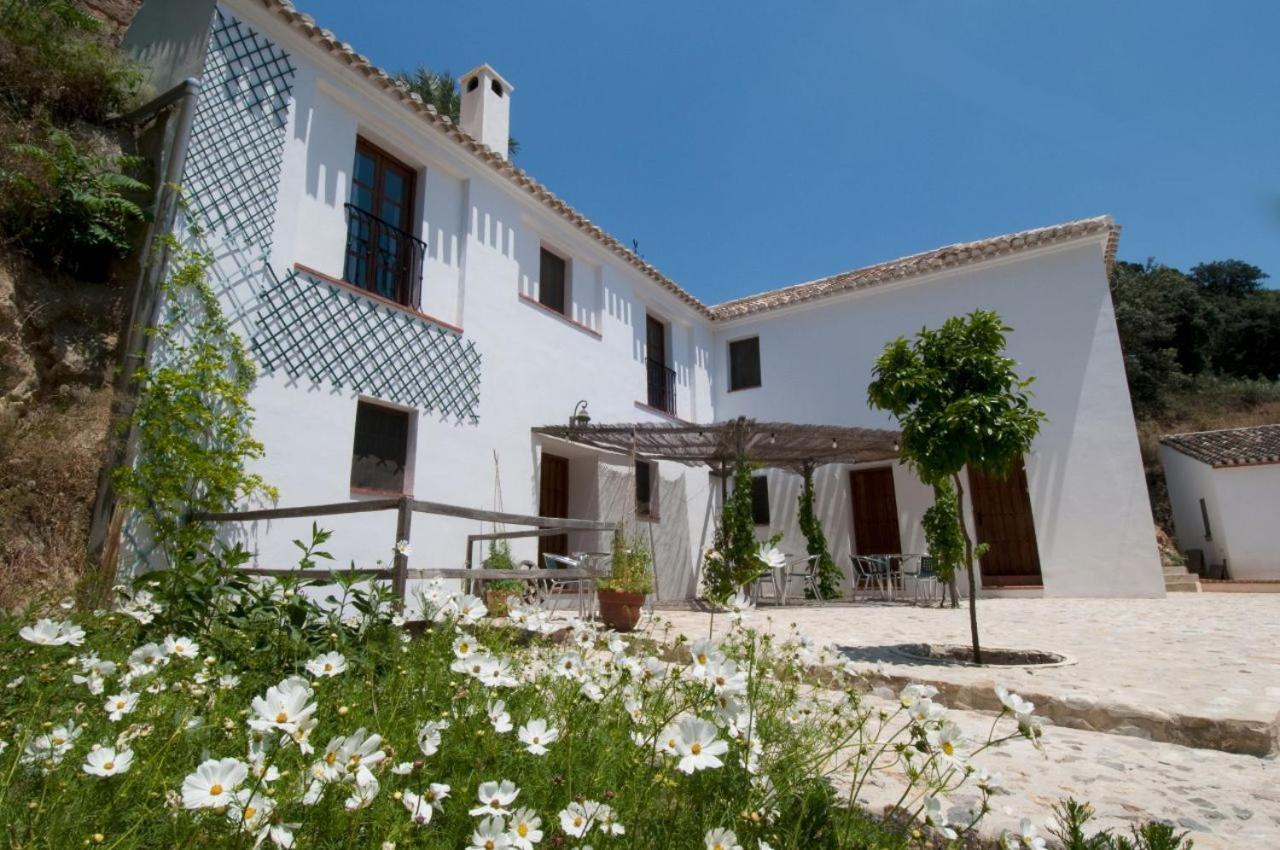 Molino La Ratonera Villa - Granada, Granada